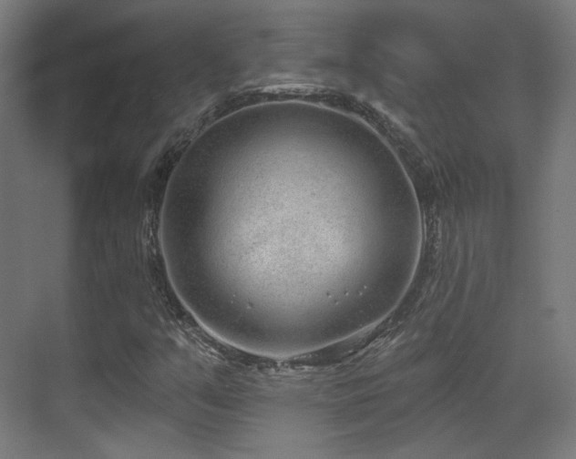 X0000070201351200605261215