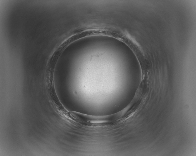 X0000070201352200605261215