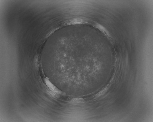X0000070201353200605261215