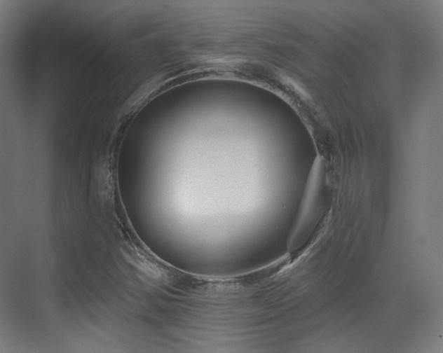 X0000070201354200605261215