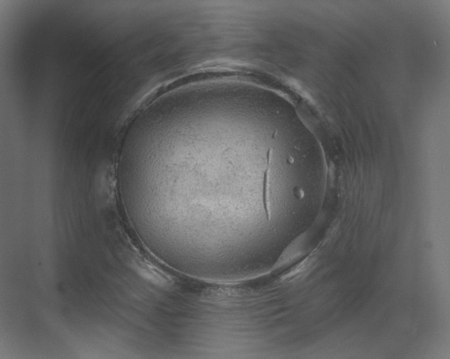 X0000070201355200605261215