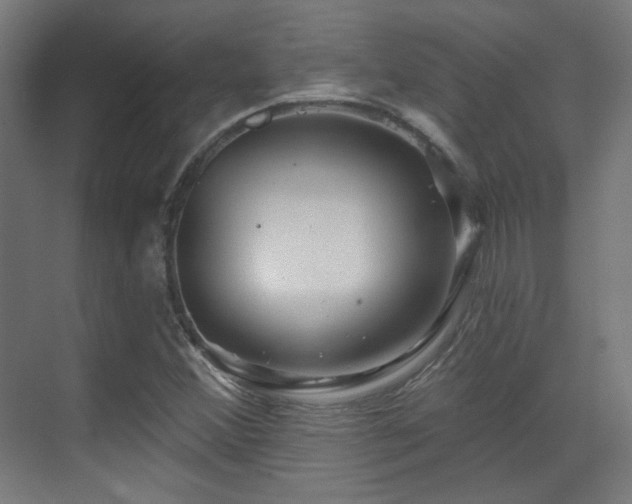 X0000070201356200605261215