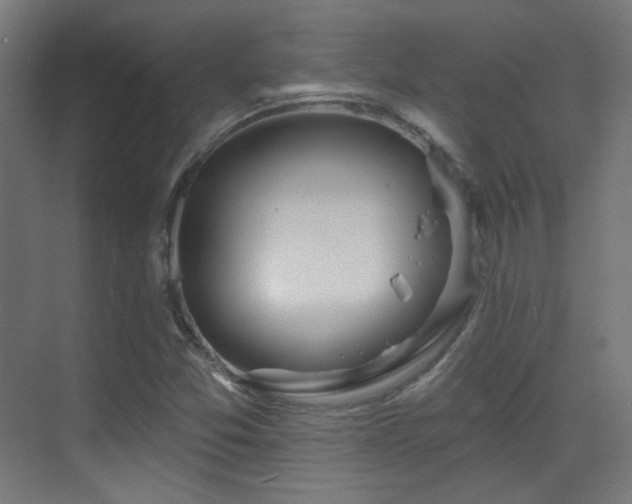 X0000070201357200605261215