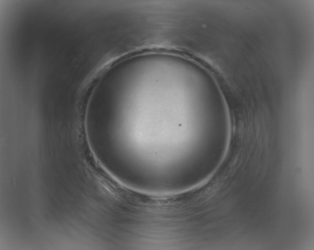 X0000070201359200605261215