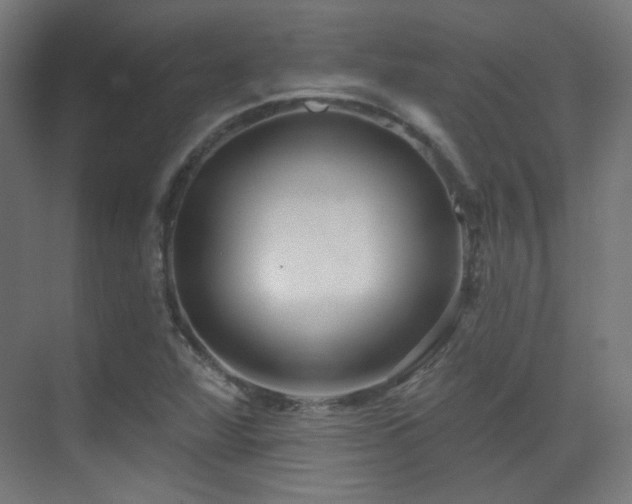 X0000070201360200605261215