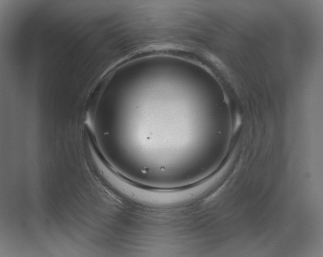 X0000070201361200605261215