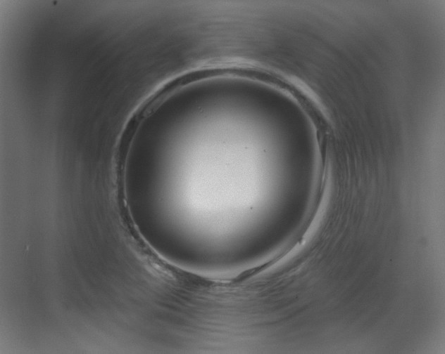 X0000070201364200605261215