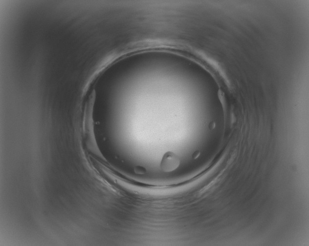 X0000070201365200605261215