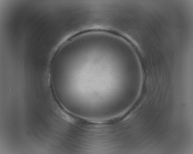X0000070201367200605261215