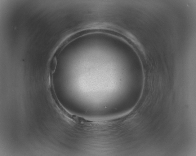 X0000070201368200605261215