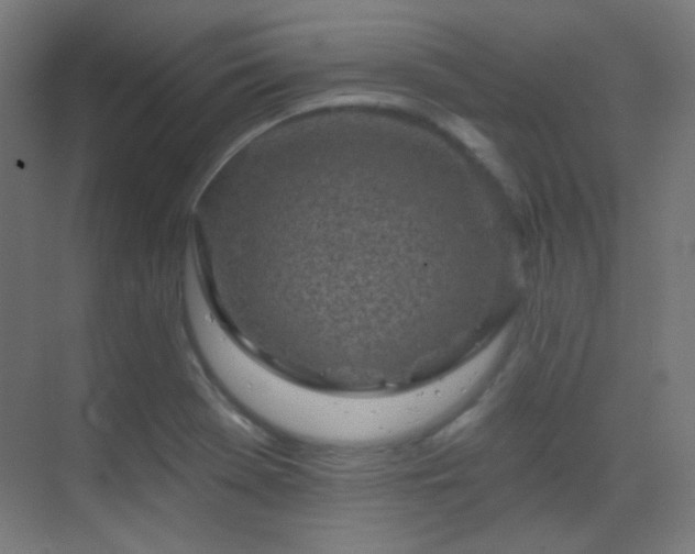 X0000070201369200605261215