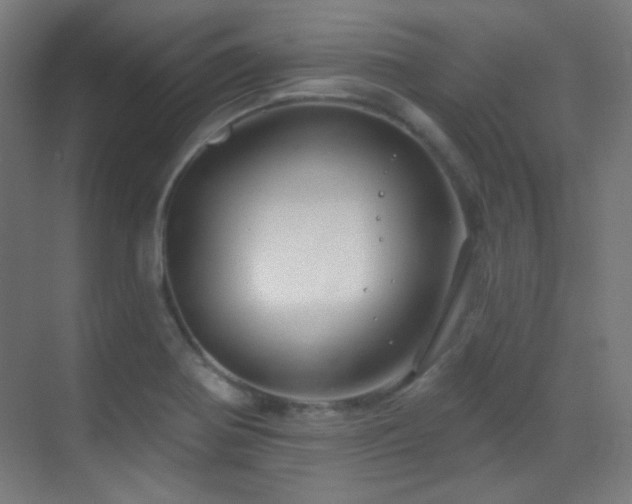 X0000070201370200605261215