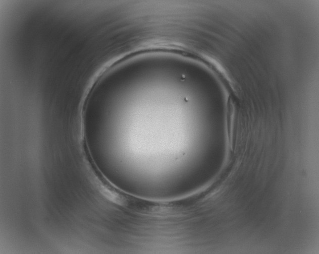 X0000070201371200605261215