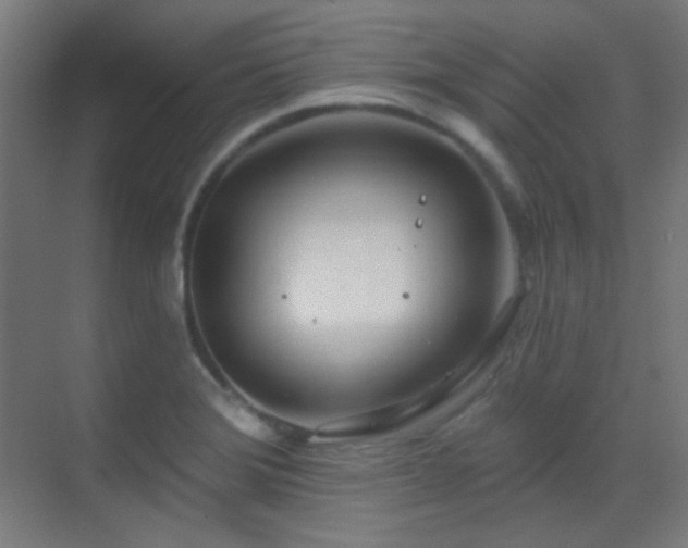X0000070201372200605261215
