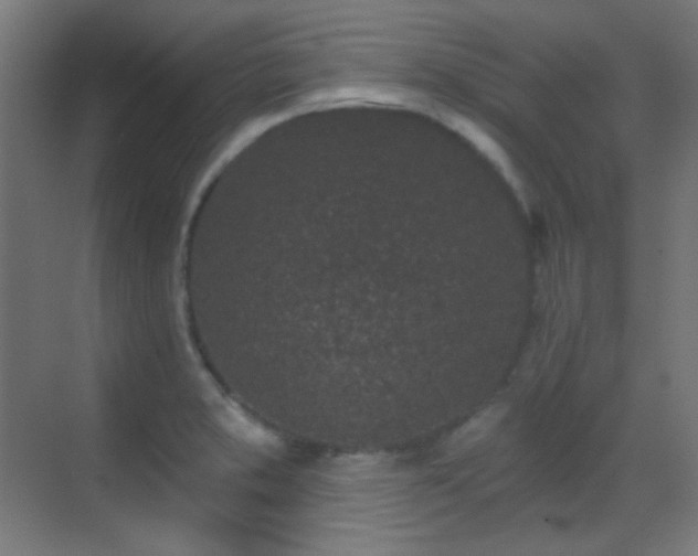 X0000070201373200605261215