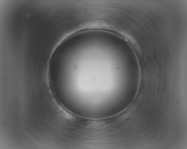 X0000070201374200605261215