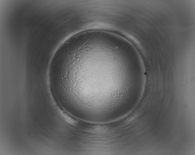 X0000070201375200605261215