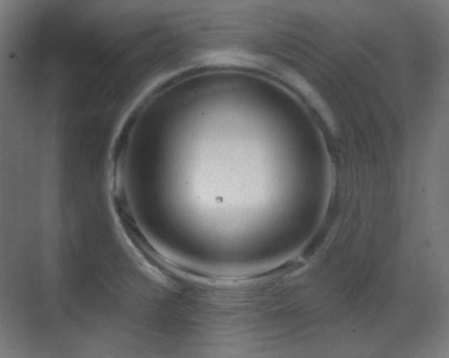 X0000070201376200605261215