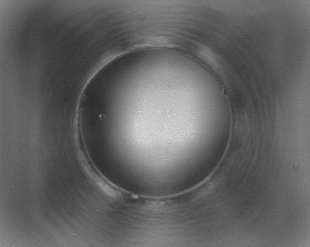 X0000070201378200605261215