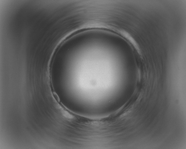 X0000070201380200605261215