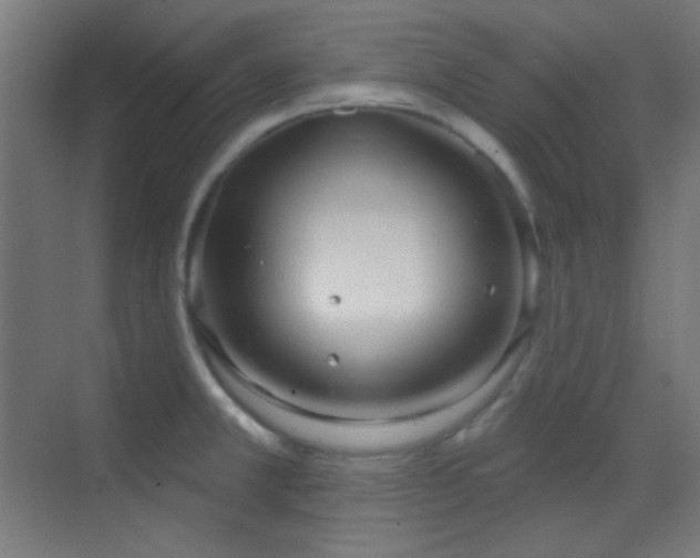 X0000070201381200605261215