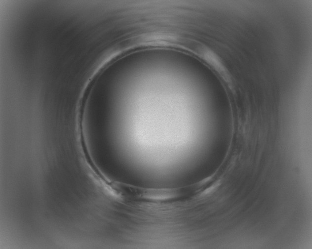 X0000070201384200605261215