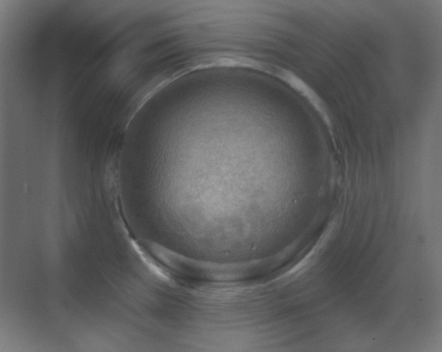 X0000070201385200605261215