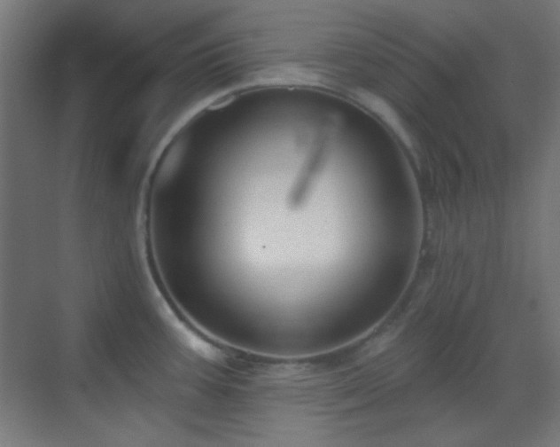 X0000070201387200605261215