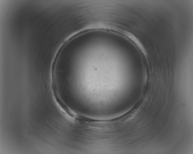 X0000070201388200605261215