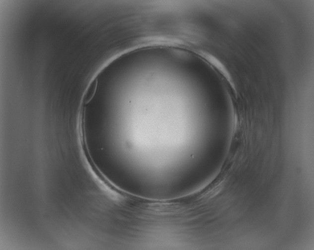 X0000070201391200605261215