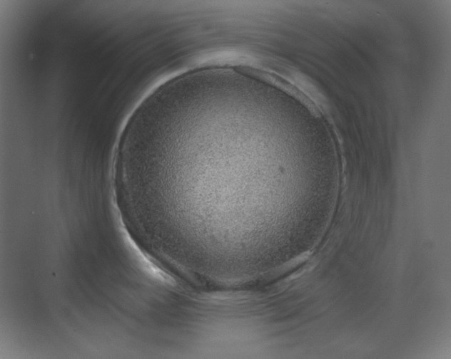 X0000070201392200605261214