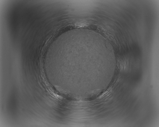 X0000070201393200605261214