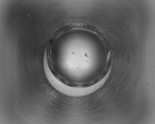 X0000070201394200605261214