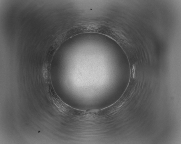 X0000070201395200605261214