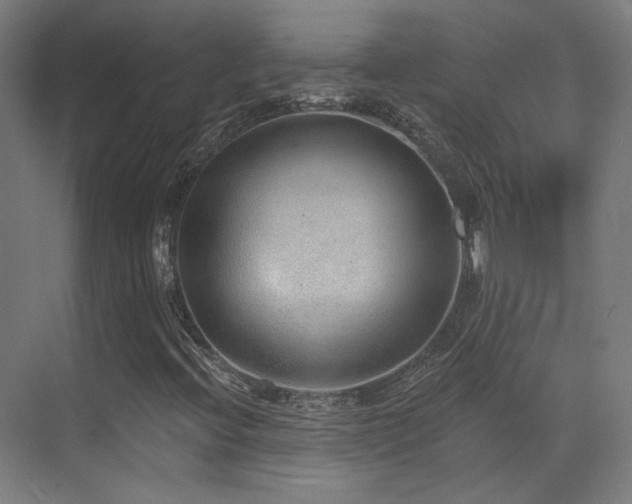 X0000070201396200605261214