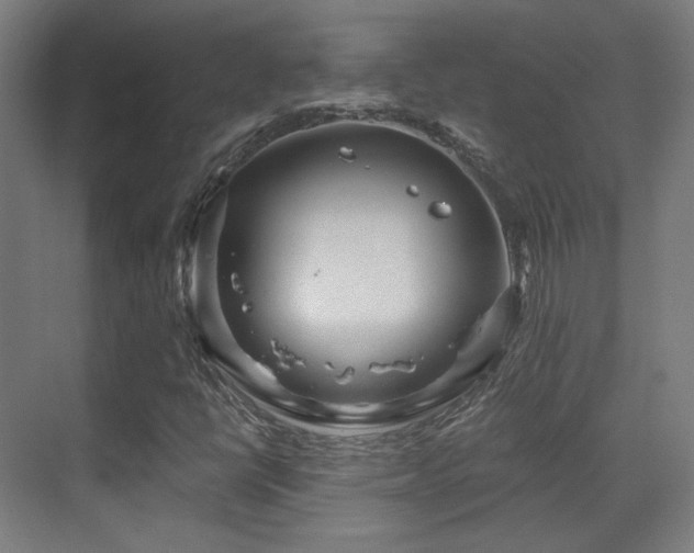 X0000070201398200605261214