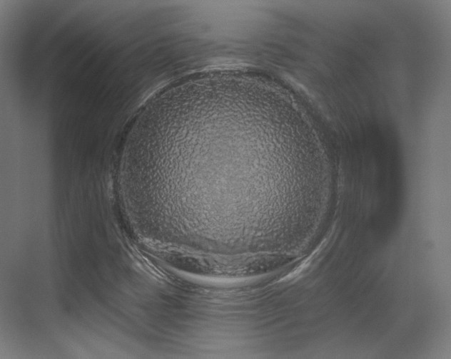 X0000070201401200605261214