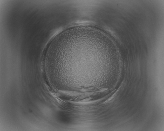X0000070201405200605261214