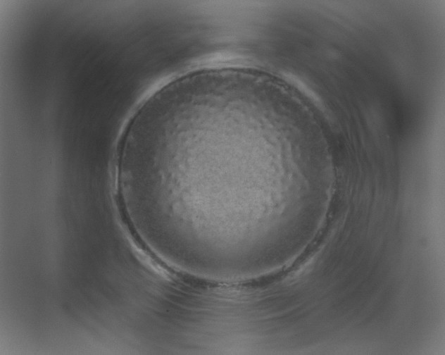 X0000070201413200605261214