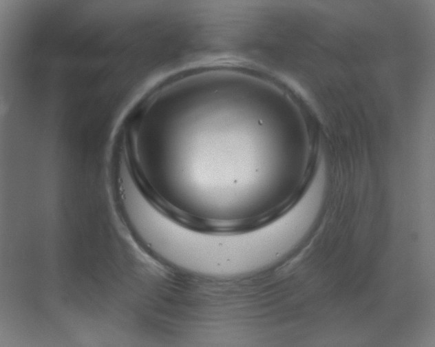 X0000070201414200605261214