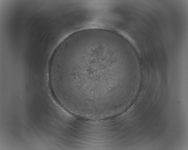 X0000070201415200605261214