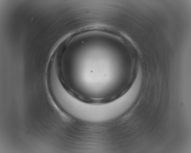 X0000070201418200605261214