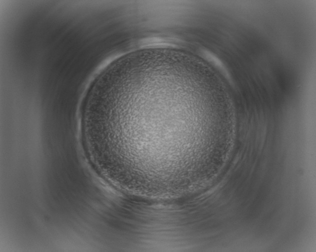 X0000070201419200605261214