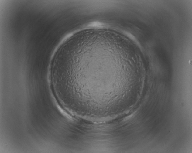 X0000070201421200605261214