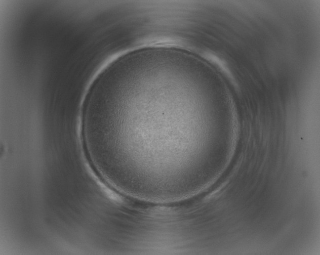 X0000070201424200605261214