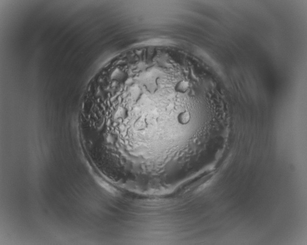 X0000070201425200605261214
