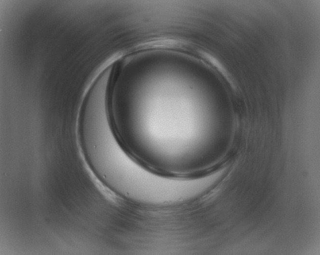 X0000070201426200605261214