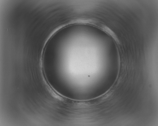 X0000070201436200605261214