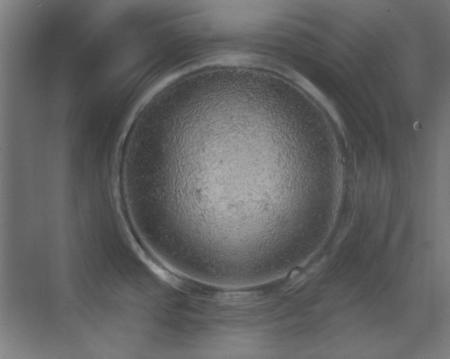 X0000070201437200605261214