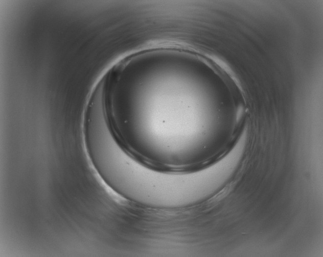 X0000070201438200605261214